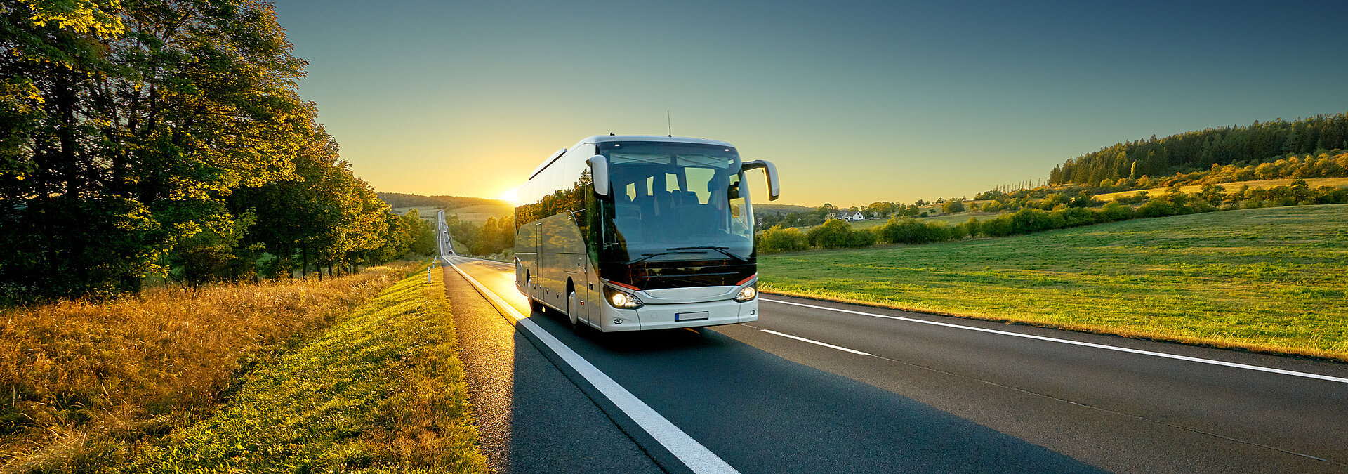 Ein weißer Reisebus fährt über eine Straße im grünen Sauerland.