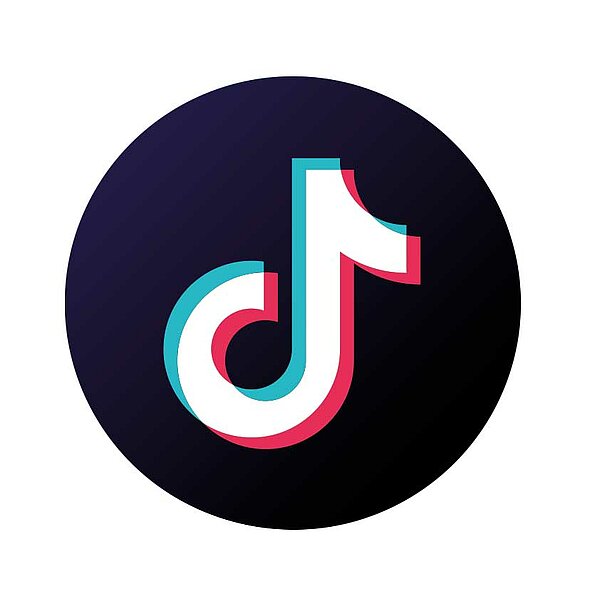 Viele lustige kleine Videos über FORT FUN sind auf TikTok zu sehen.