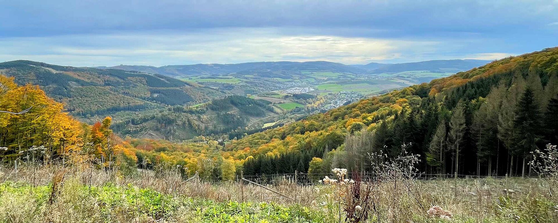 Im Sauerland blicken Urlauber über weite Täler und die bergige Landschaft des Mittelgebirges.