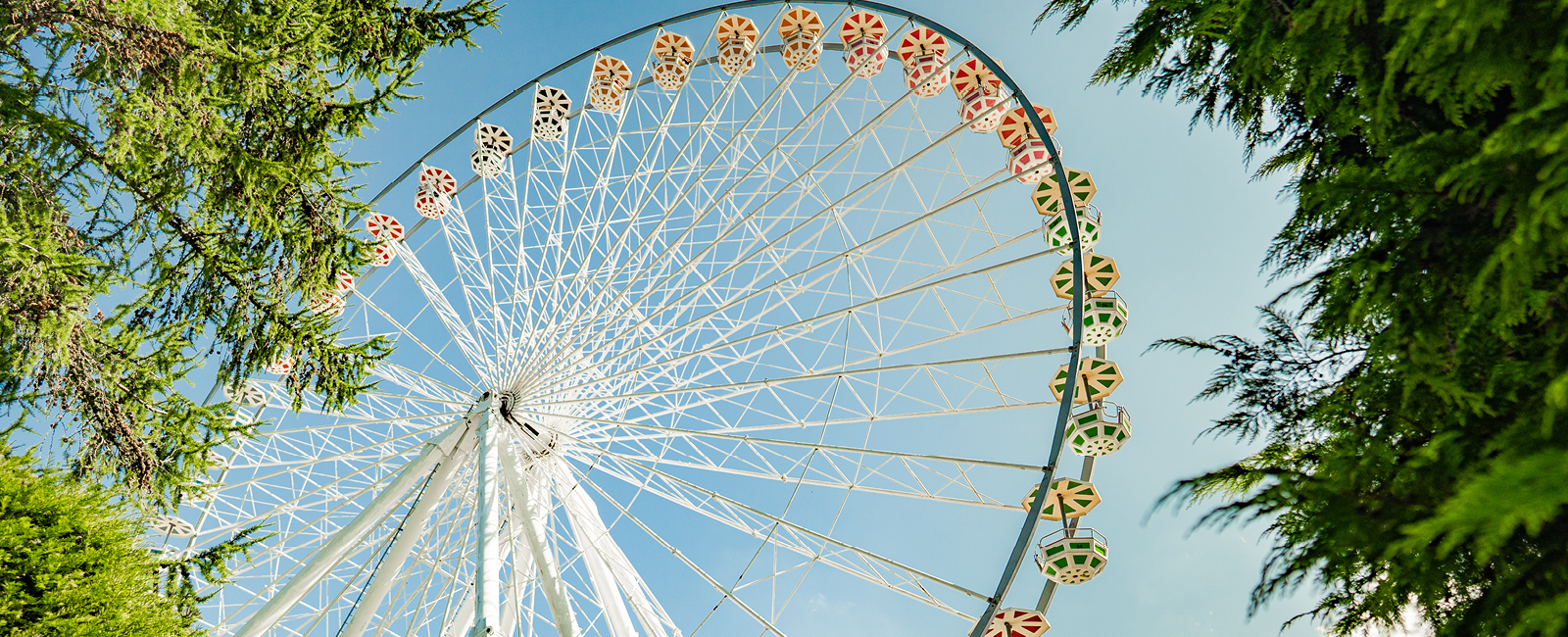 Das Big Wheel Riesenrad im FORT FUN strahlt in der Sonne zwischen den grünen Bäumen hervor.