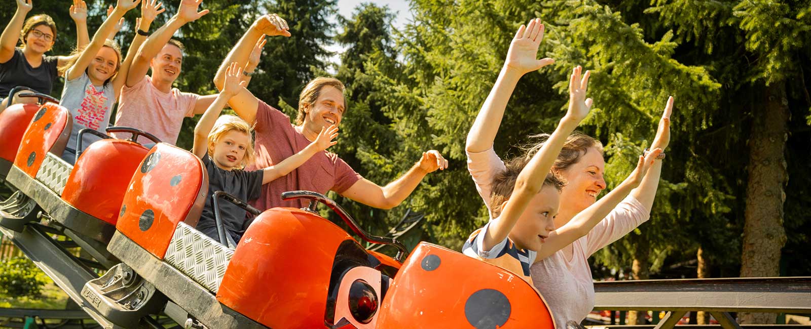 In der Familien-Marienkäfer-Achterbahn rasen die Kleinen und Großen durch den dichten Fichtenwald.