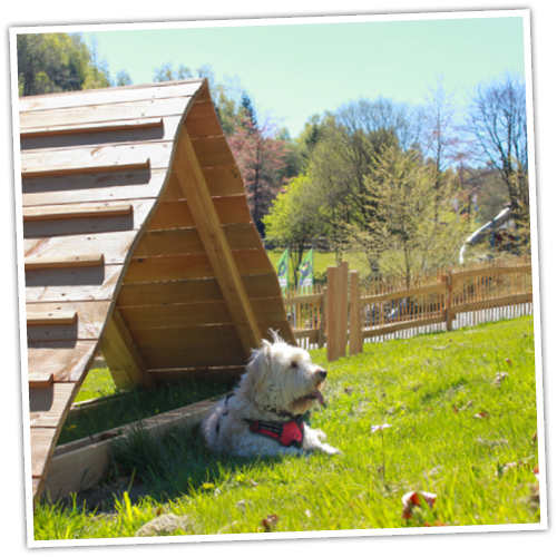 Der Hundespielplatz bietet verschiedene Spielelemente, wie zum Beispiel Hinderniselementen