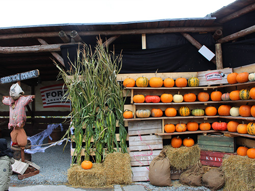 Foto-Spots laden zu hübschen Erinnerungsfotos ein, hier zum Beispiel die Kürbiswand.