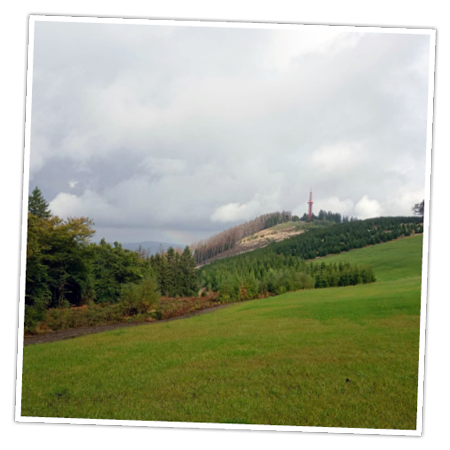 Der Stüppelturm auf dem Stüppelberg im Sauerland liegt direkt am FORT FUN Abenteuerland und ist immer eine Wanderung wert.